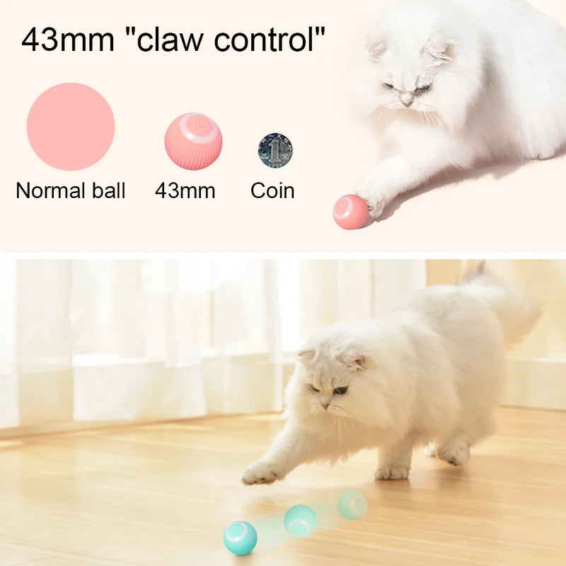 Bola interativa recarregável para gatos